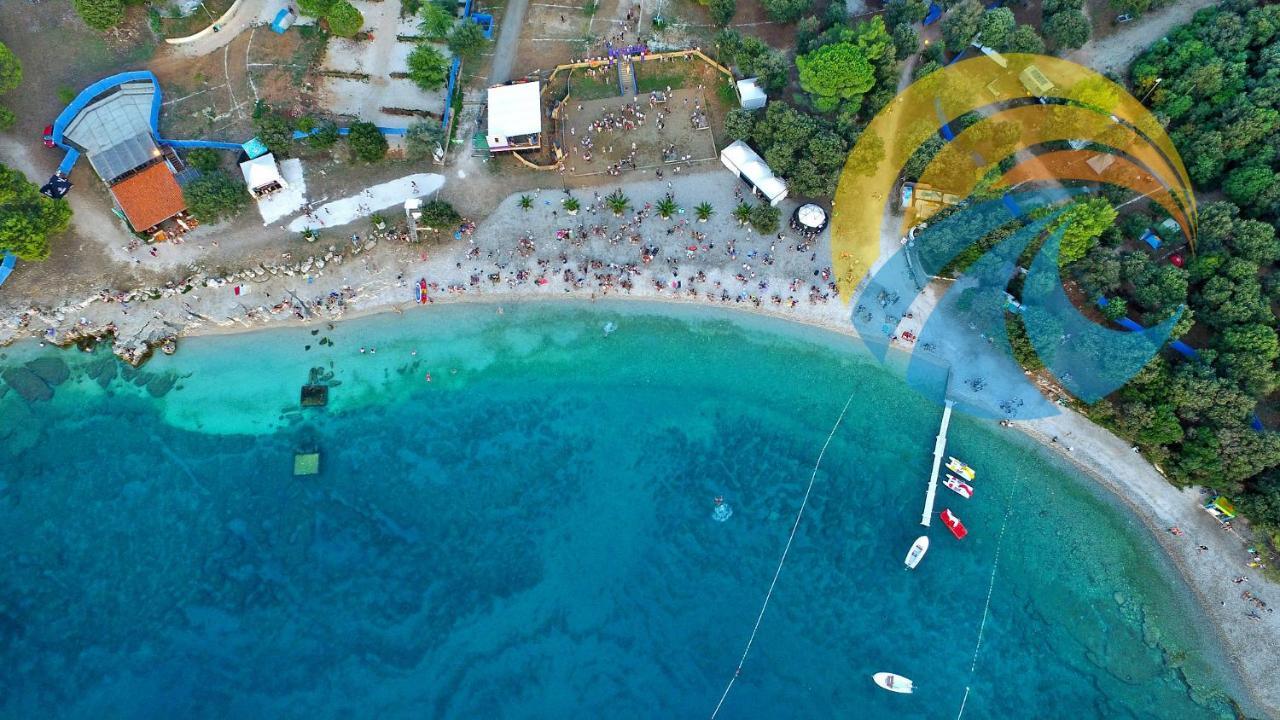 Pina 2018 * Pula